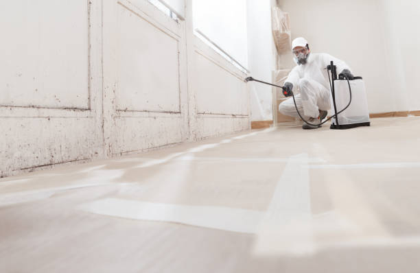24/7 Emergency Basement Mold Remediation experts in Happy Valley, OR