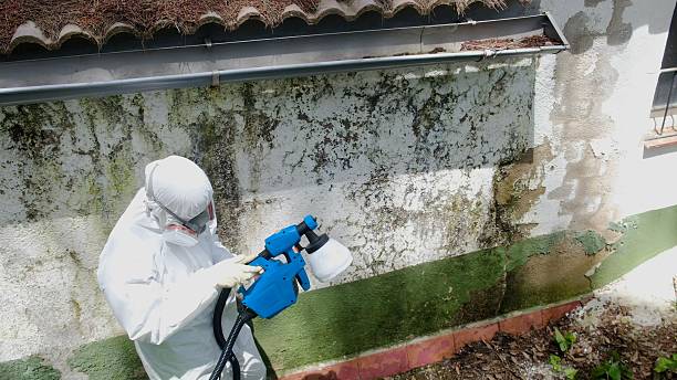 Trusted Mold Remediation service in Happy Valley, OR - Cheap Mold Removal